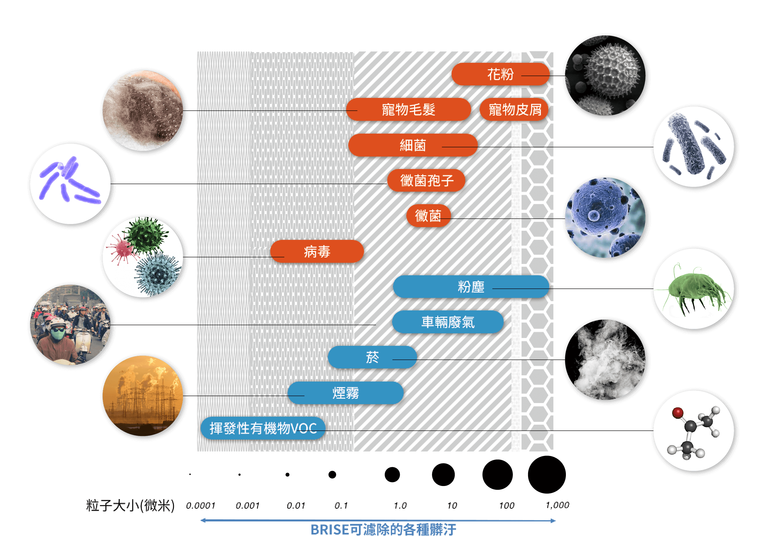 哪裡可以買 BRISE C200 空氣清淨機？ - brise c200過濾物質